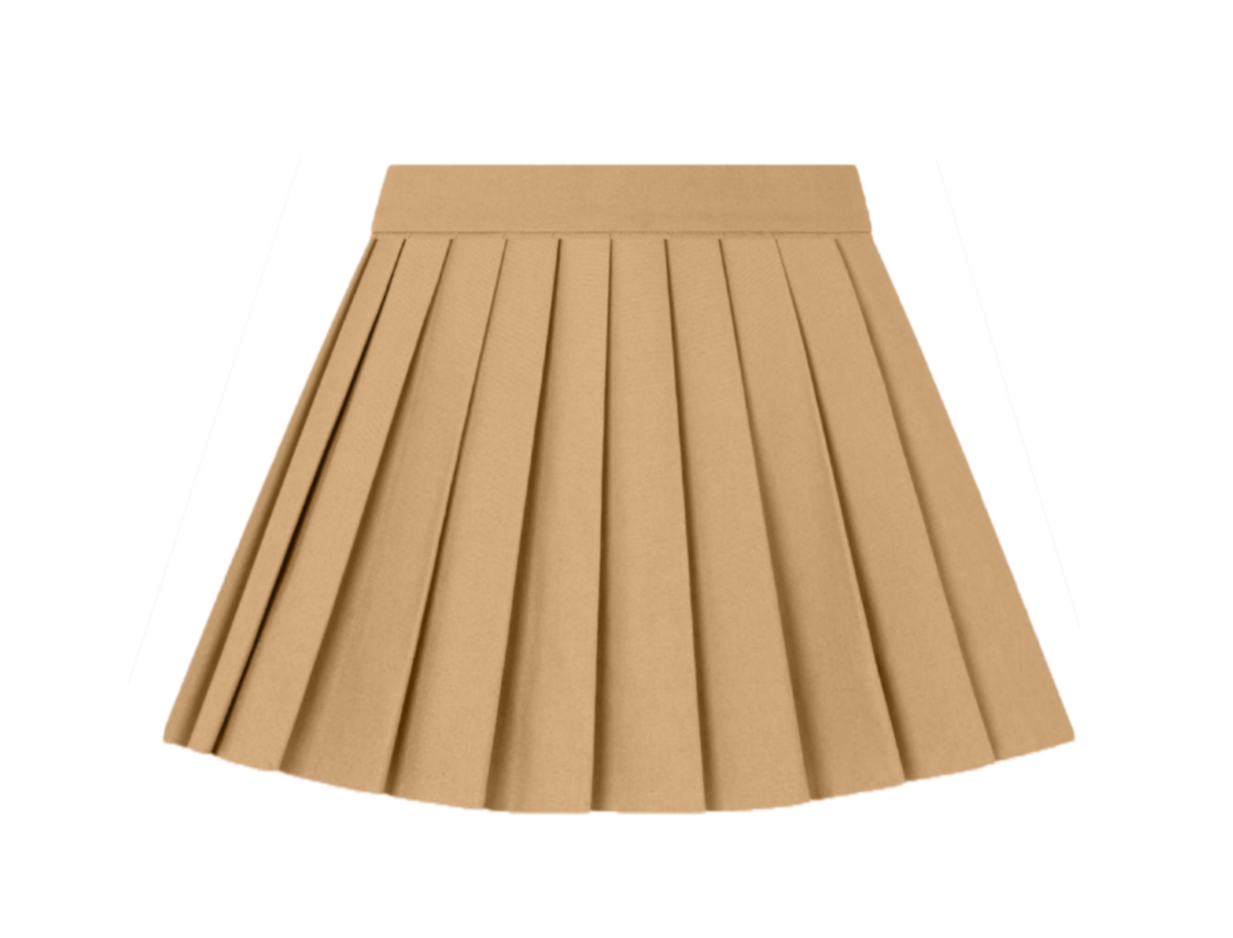 FPS Skirt with Pleats